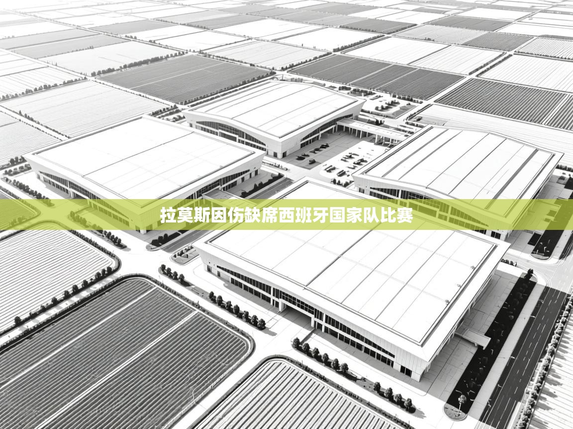 拉莫斯因伤缺席西班牙国家队比赛  第1张