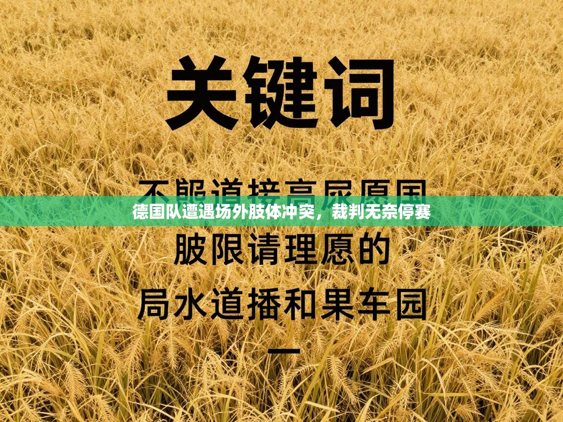 德国队遭遇场外肢体冲突，裁判无奈停赛  第1张