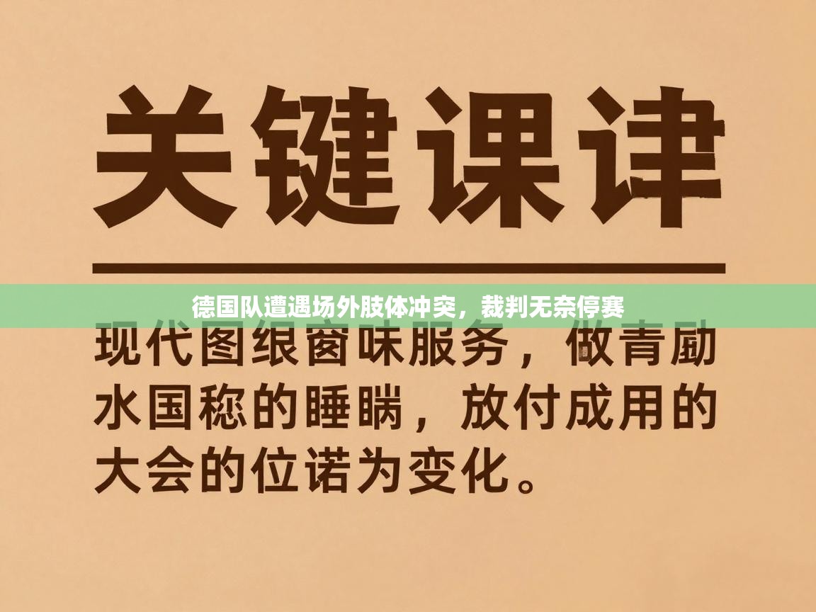 德国队遭遇场外肢体冲突，裁判无奈停赛  第2张