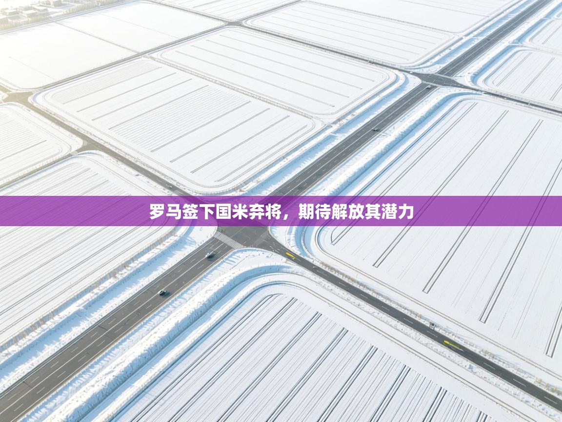 罗马签下国米弃将，期待解放其潜力  第2张