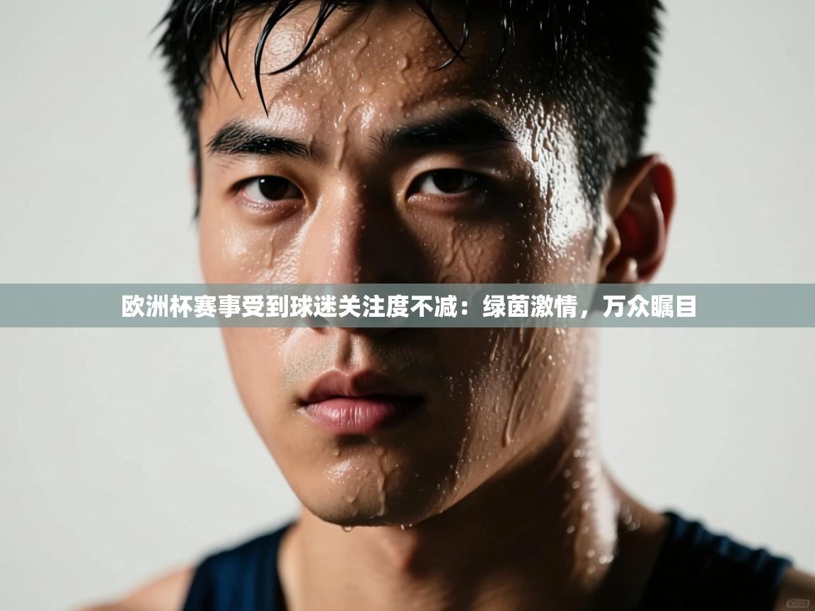 欧洲杯赛事受到球迷关注度不减：绿茵激情，万众瞩目  第1张