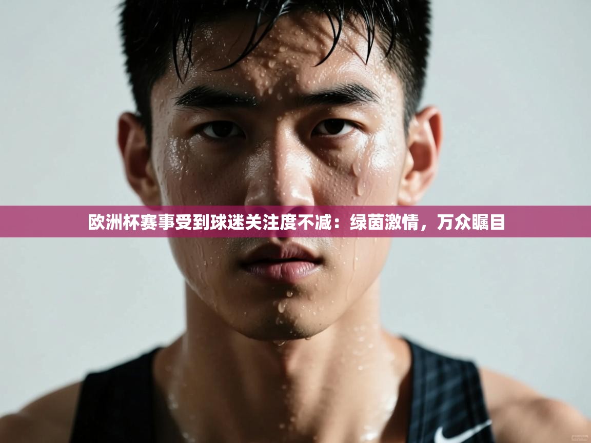 欧洲杯赛事受到球迷关注度不减：绿茵激情，万众瞩目  第2张