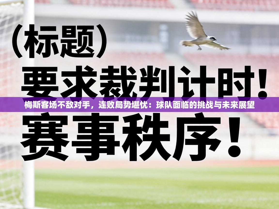 梅斯客场不敌对手，连败局势堪忧：球队面临的挑战与未来展望  第1张