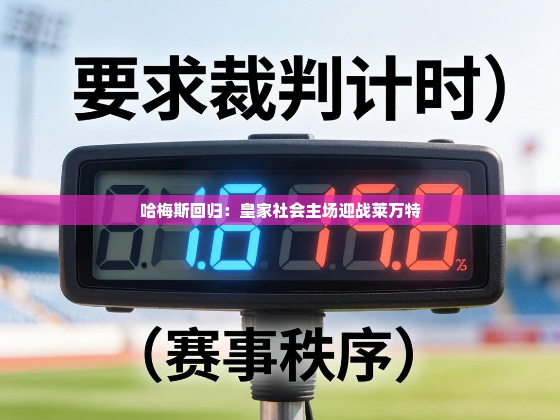 哈梅斯回归:皇家社会主场迎战莱万特 第1张