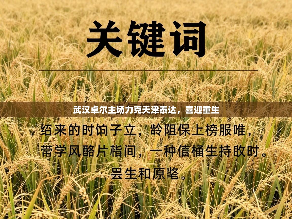 武汉卓尔主场力克天津泰达,喜迎重生 第1张