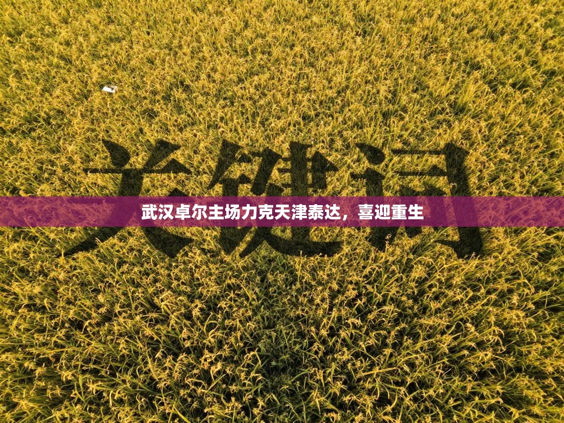 武汉卓尔主场力克天津泰达,喜迎重生 第2张