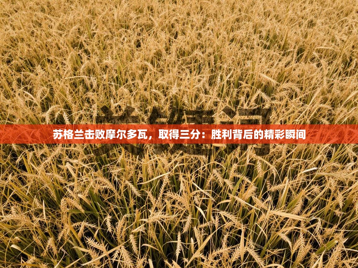 苏格兰击败摩尔多瓦，取得三分：胜利背后的精彩瞬间  第1张